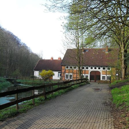 Hoellenmuehle Bed & Breakfast At The Mill Pond Hessisch Oldendorf Ngoại thất bức ảnh