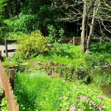 Hoellenmuehle Bed & Breakfast At The Mill Pond Hessisch Oldendorf Ngoại thất bức ảnh