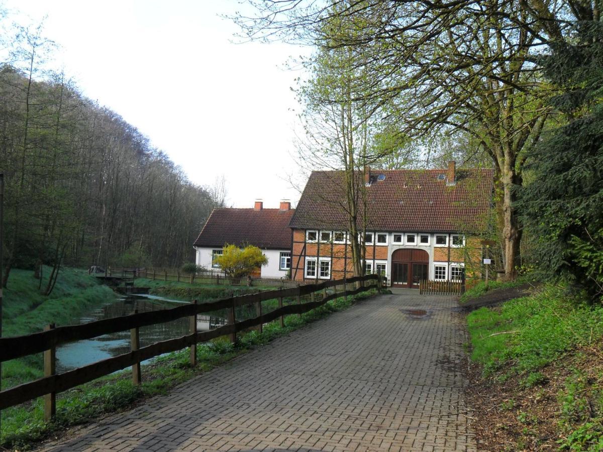 Hoellenmuehle Bed & Breakfast At The Mill Pond Hessisch Oldendorf Ngoại thất bức ảnh