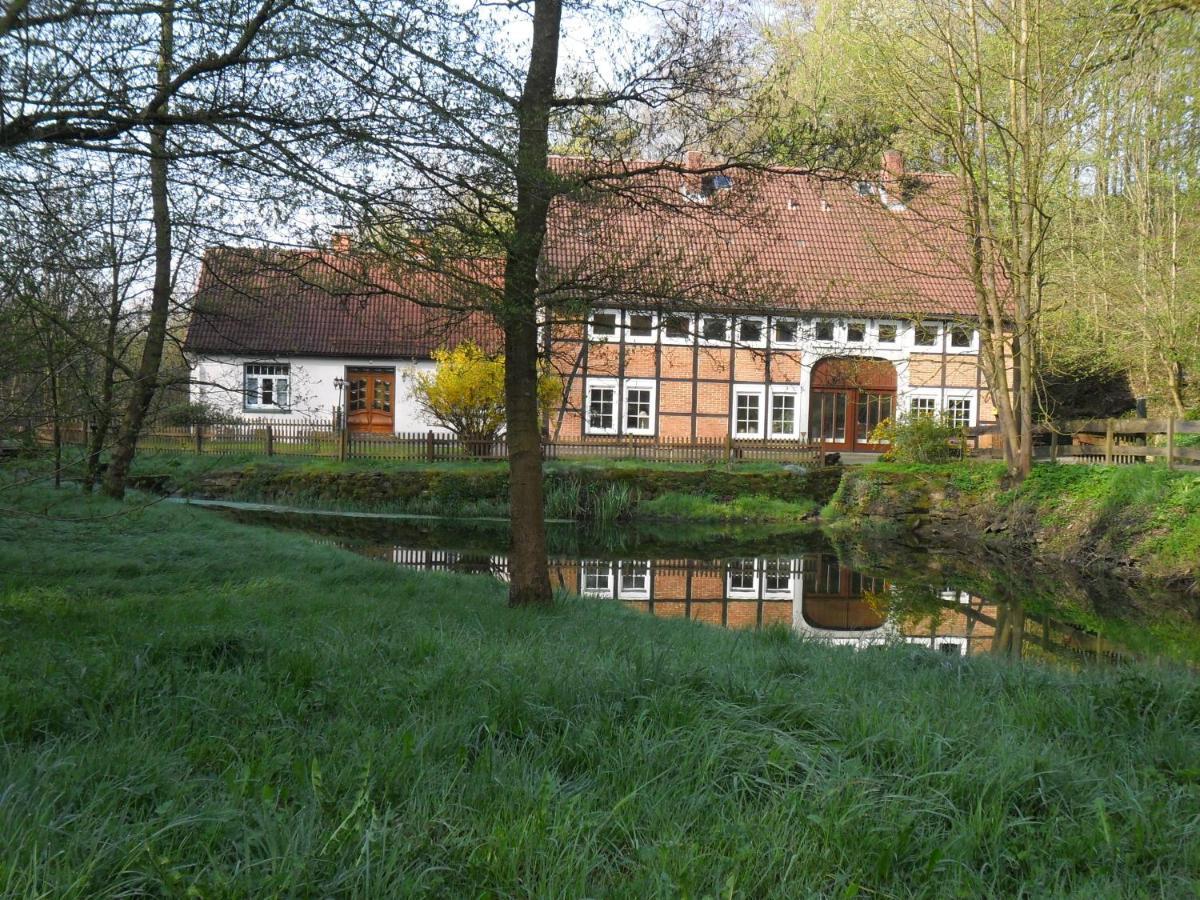 Hoellenmuehle Bed & Breakfast At The Mill Pond Hessisch Oldendorf Ngoại thất bức ảnh